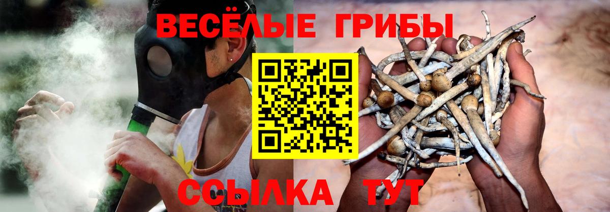 Галлюциногенные грибы ЛСД Балашиха